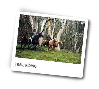 Horse Riding Holidays Victoria