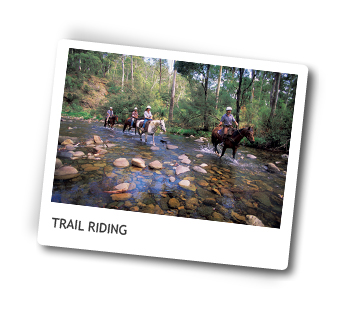 Luxury Horse Ride Tours, Victoria