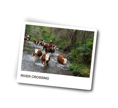 river crossing.jpg river crossing.jpg