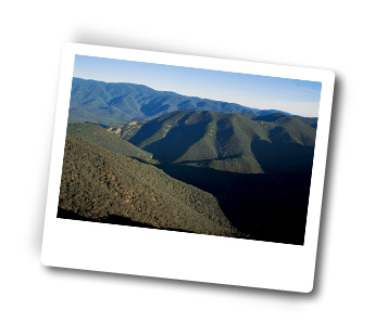Adventure Tours in Kosciuszko, Victoria