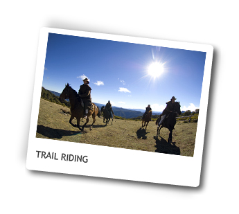 Horse Riding Package in Victoria